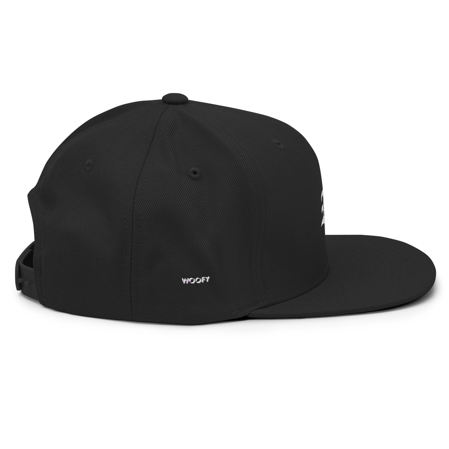 NM Snapback Hat